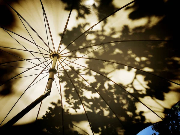 Низькокутний Знімок Відкритої Парасольки Тінями Листя Гілок — стокове фото