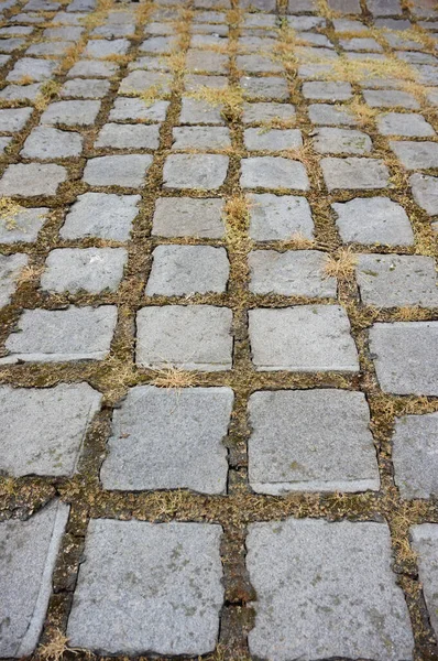 Texture Cobblestone Pavement — Stock Photo, Image