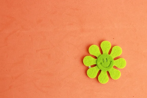 Detailní Záběr Zelené Květiny Usměvavou Tváří Izolované Oranžovém Pozadí — Stock fotografie