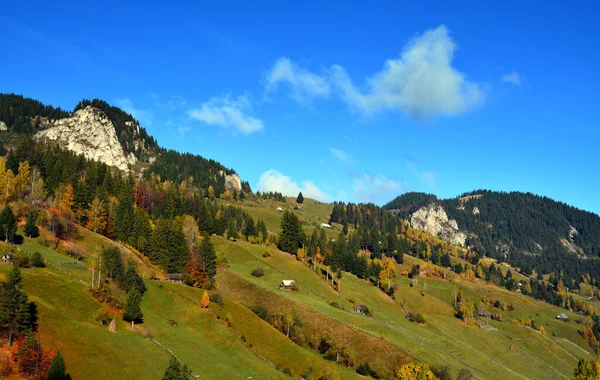 Vacker Bild Skogsklädda Berg Klar Himmel — Stockfoto