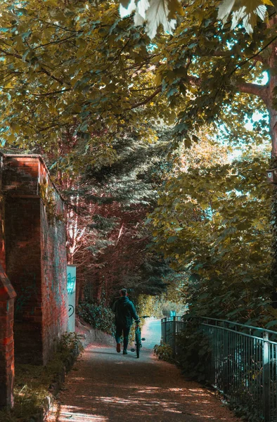 Vertikální Záběr Cestu Lemovanou Železným Zábradlím Stromy — Stock fotografie