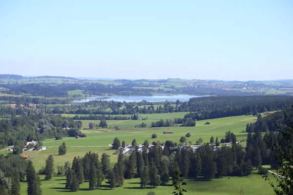 Plan Fascinant Beau Paysage Avec Grands Arbres — Photo