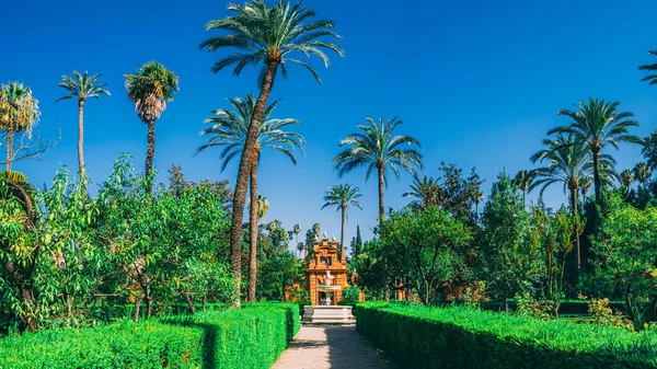 Sevilha España Julio 2020 Hermosos Jardines Increíbles Alcázar Real Real — Foto de Stock