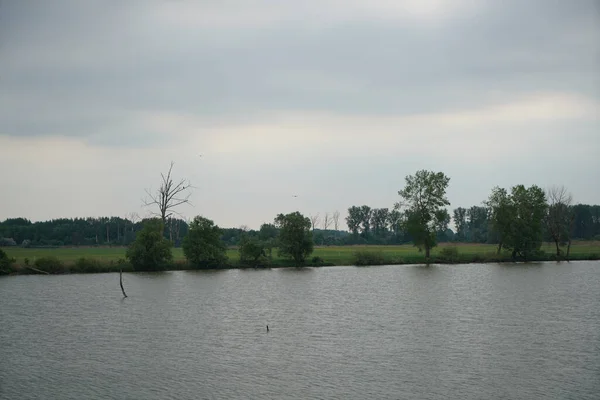 Lac Dans Parc Verdoyant Pendant Journée Allemagne — Photo