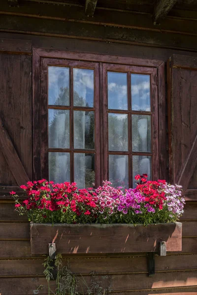 Vertikální Záběr Kvetoucích Květin Dřevěném Okně — Stock fotografie