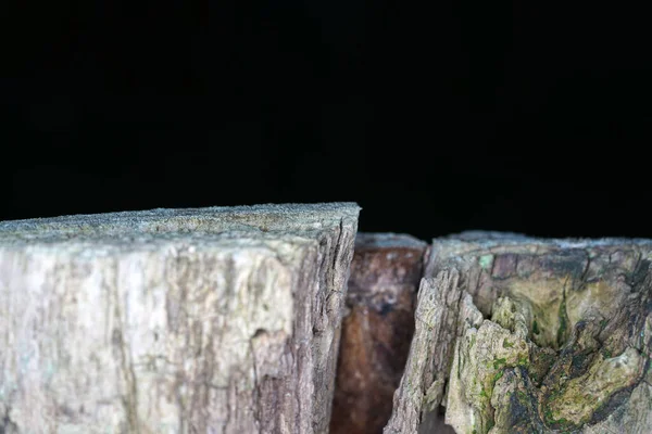 Tiro Close Madeira Decomposição Com Fungos Isolados Fundo Escuro — Fotografia de Stock