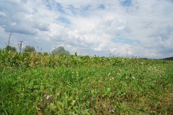 Pole Trawy Lśniące Pod Chmurnym Niebem — Zdjęcie stockowe