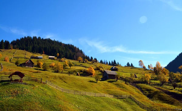 Beau Plan Montagnes Boisées Sous Ciel Dégagé — Photo