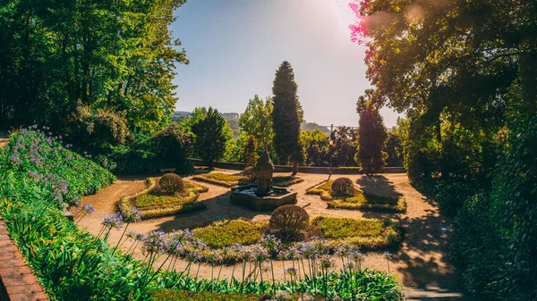 Eine Schöne Aufnahme Der Gärten Des Palacio Cristal Porto Portugal — Stockfoto