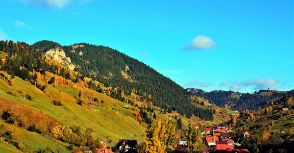 Vacker Bild Skogsklädda Berg Klar Himmel — Stockfoto