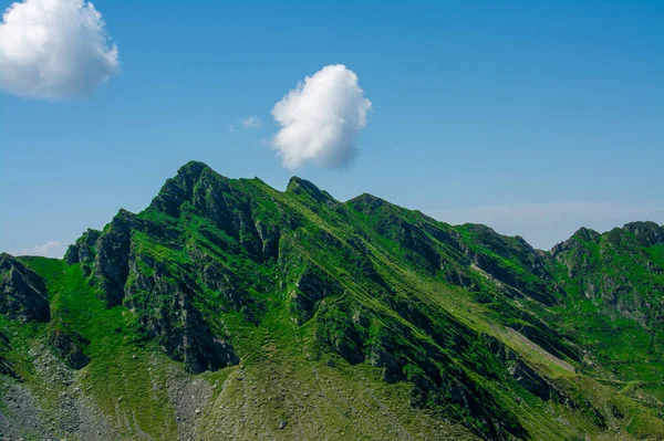Ένα Όμορφο Πλάνο Μιας Βουνοκορφής Καλυμμένης Πράσινο — Φωτογραφία Αρχείου