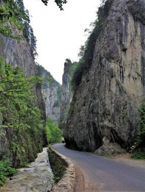 A vertical shot of Bicaz Gorges in Romania clipart
