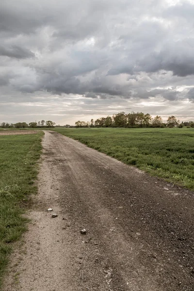 Vertikální Záběr Venkovskou Silnici Mizející Obzoru — Stock fotografie