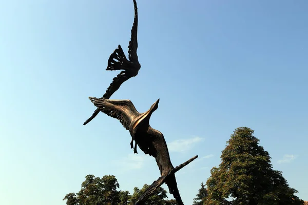 Escultura Unas Aves Treviso Italien — Stockfoto