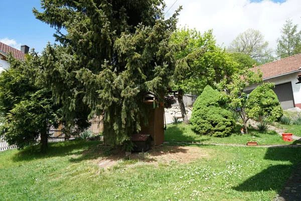 バイエルンの居心地の良い緑の裏庭 — ストック写真
