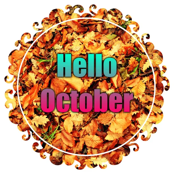 Hello Autumn Card Illustration Flowered Background — Stock Photo, Image