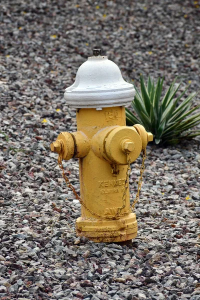 Ein Senkrechter Schuss Feuerhydrant Freien — Stockfoto