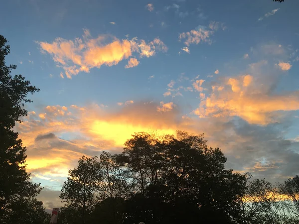 Eine Faszinierende Aufnahme Hoher Bäume Bei Sonnenuntergang — Stockfoto