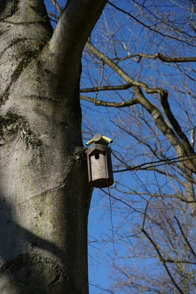 Uma Casa Pássaros Madeira Uma Árvore — Fotografia de Stock