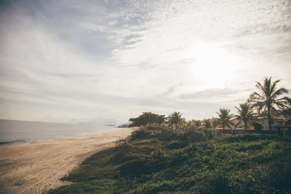 Primo Piano Piante Spiaggia Sabbiosa Una Giornata Nuvolosa — Foto Stock