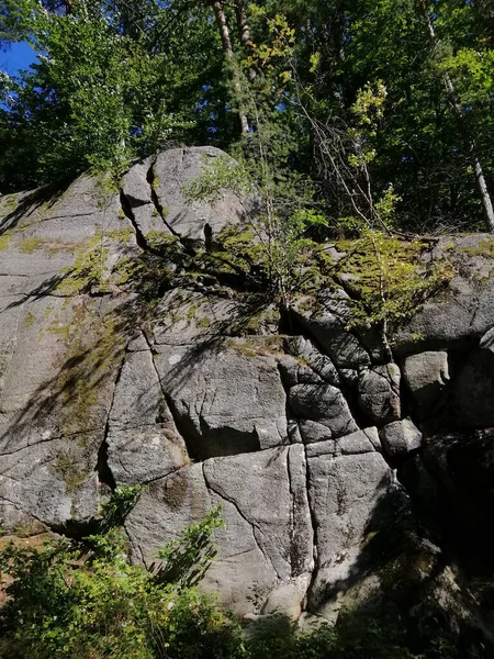 Colpo Verticale Alberi Appezzamento Rocce Norvegia — Foto Stock