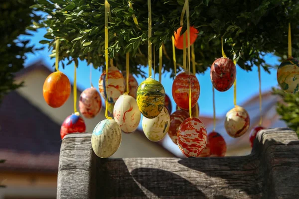 Primer Plano Coloridos Huevos Pascua Estampados Colgando Árbol — Foto de Stock