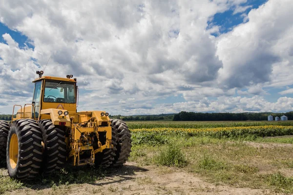 Gran Tractor Amarillo Girasol Maizal Bajo Cielo Azul Nublado — Foto de Stock