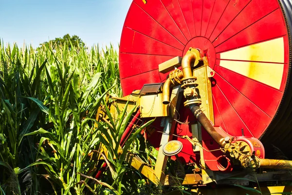 Enorme Carrinho Mangueiras Com Mangueira Irrigação Borda Campo Milho Alemanha — Fotografia de Stock