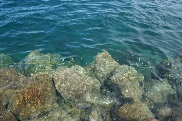 Batu Batu Besar Perairan Dangkal Biru Pada Siang Hari — Stok Foto