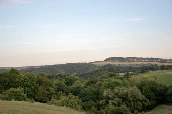 Krásný Záběr Hustého Lesa Pod Jasně Modrou Oblohou — Stock fotografie