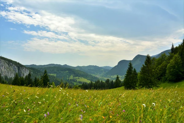 Панорамний Знімок Зеленого Гірського Пейзажу Похмурому Фоні Дня — стокове фото