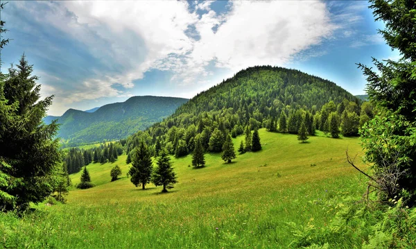 Bir Panoramik Çekim Bulutlu Bir Günde Yeşil Dağ Manzarası — Stok fotoğraf