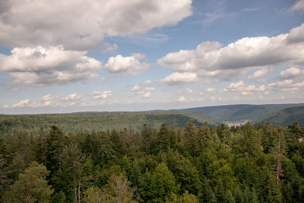 Красивый Воздушный Снимок Густого Зеленого Леса Ярким Облачным Небом — стоковое фото