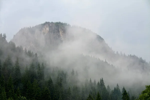 Una Vista Impresionante Bicaz Gorge Después Una Lluvia Envuelta Niebla — Foto de Stock