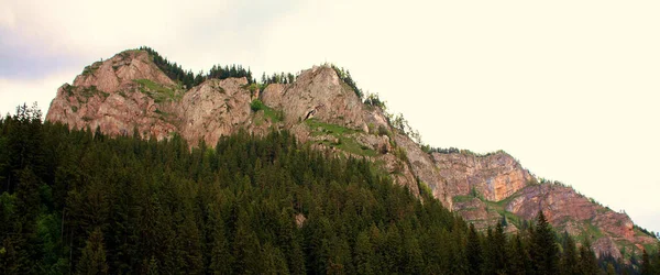 Beau Paysage Des Célèbres Montagnes Hasmas Roumanie — Photo