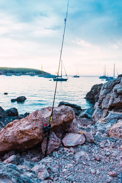 Een Prachtig Verticaal Schot Van Een Zee Met Rotsachtige Stenen — Stockfoto