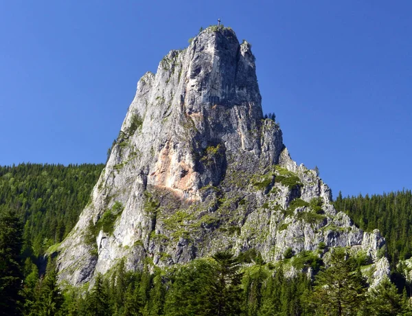 Een Prachtig Uitzicht Altsteen Van Bicaz Gorges Roemenië — Stockfoto