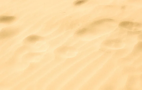 Closeup Light Sandy Beach Traces — Stock Photo, Image