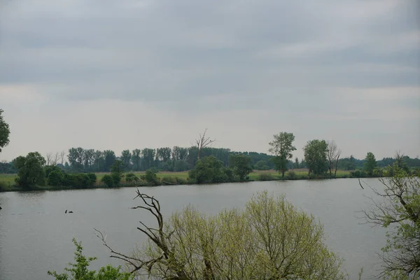 Ein Blauer See Mit Bergen Und Bäumen Hintergrund Deutschland — Stockfoto