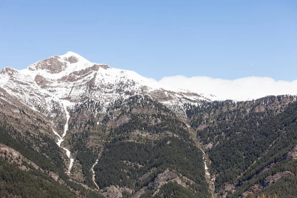昼間は雪に覆われた森の山々の美しい景色 — ストック写真