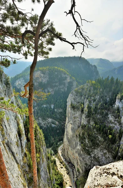 Romanya Daki Bicaz Vadilerinin Dikey Hava Görüntüsü — Stok fotoğraf