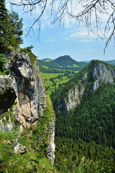 Vertikální Letecký Pohled Rokle Bicaz Rumunsku — Stock fotografie