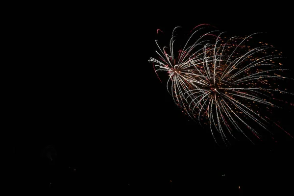 Hermoso Disparo Fuegos Artificiales Colores Explosivos Sobre Fondo Negro Del — Foto de Stock