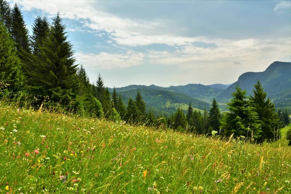 Una Hermosa Toma Pradera Verde Con Colinas Fondo — Foto de Stock