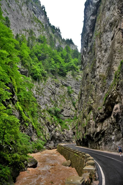 Tiro Vertical Bicaz Gorges Roménia — Fotografia de Stock