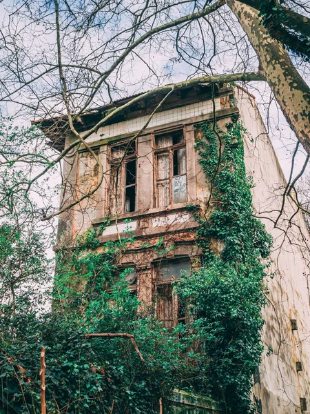 Edifício Vertical Abandonado Rodeado Árvores Durante Dia — Fotografia de Stock