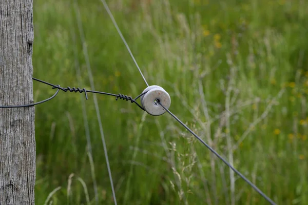 Fecho Uma Cerca Arame Elétrico Torno Pasto — Fotografia de Stock