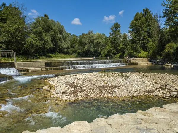 Beautiful Flowing River Background Forest — Stock Photo, Image