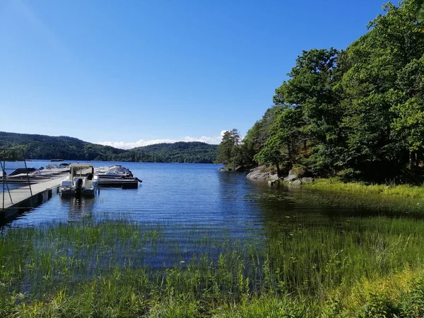 Tiro Close Berço Lago Floresta Noruega — Fotografia de Stock