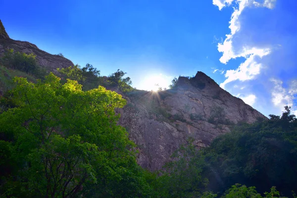 Uno Splendido Scenario Storiche Gole Turzii Romania — Foto Stock